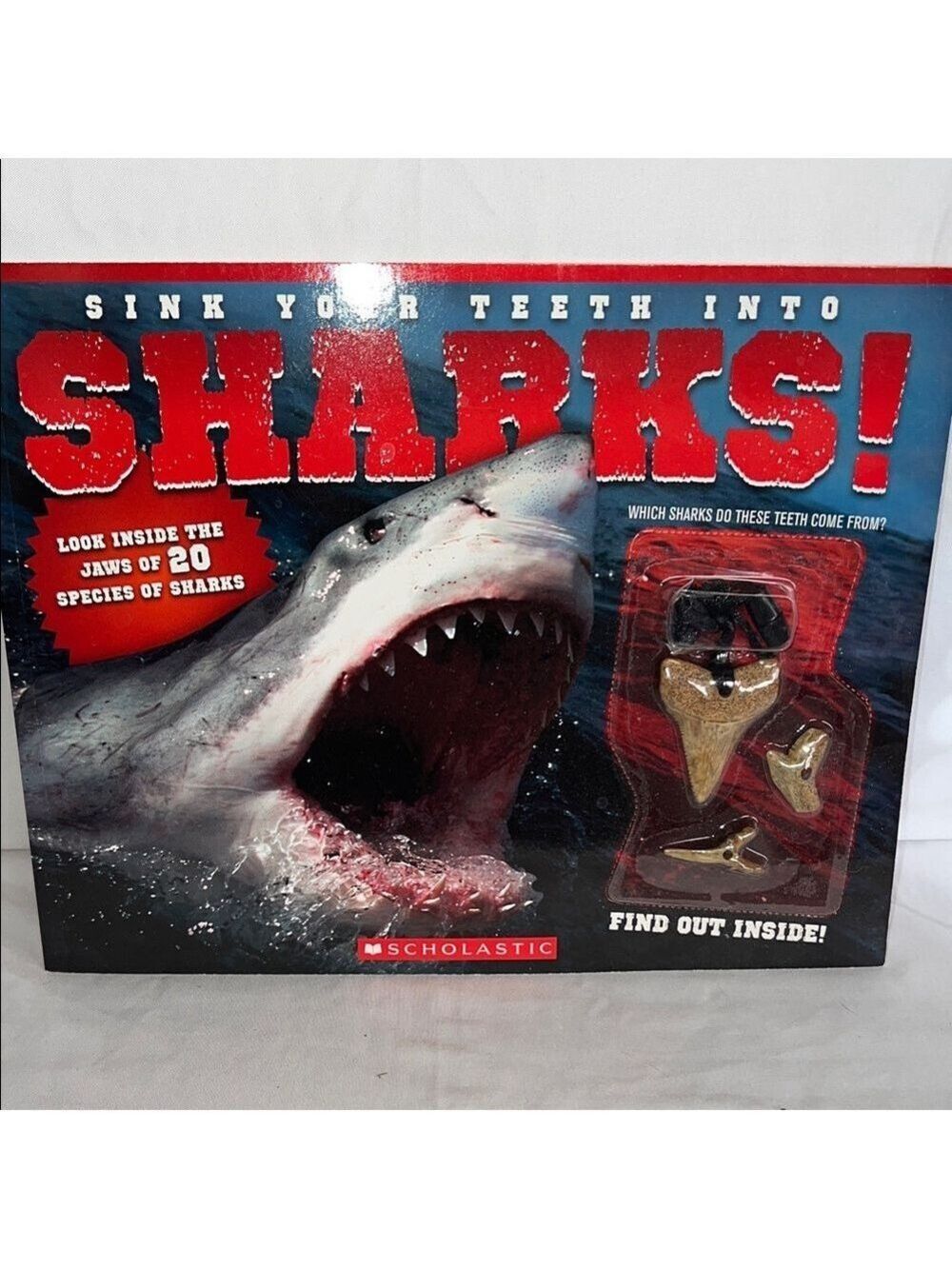 Scholastic Shark Teeth Boom Set
